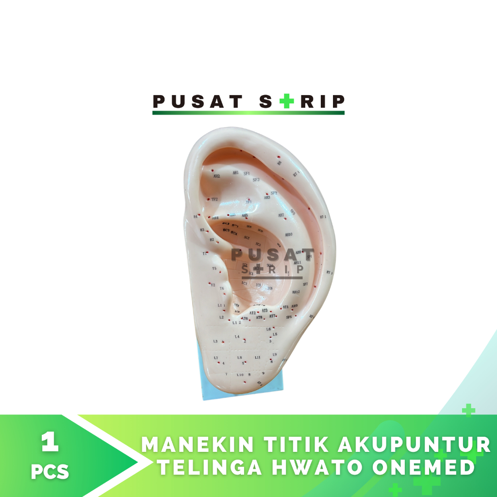Manekin Titik Akupuntur Telinga  Hwato