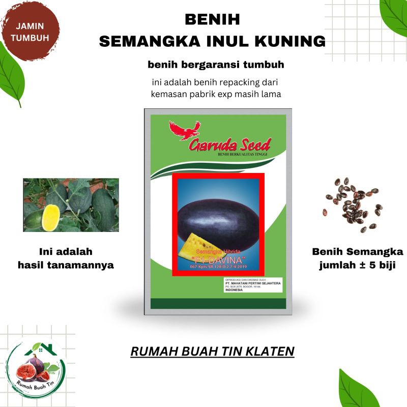 BENIH SEMANGKA INUL KUNING