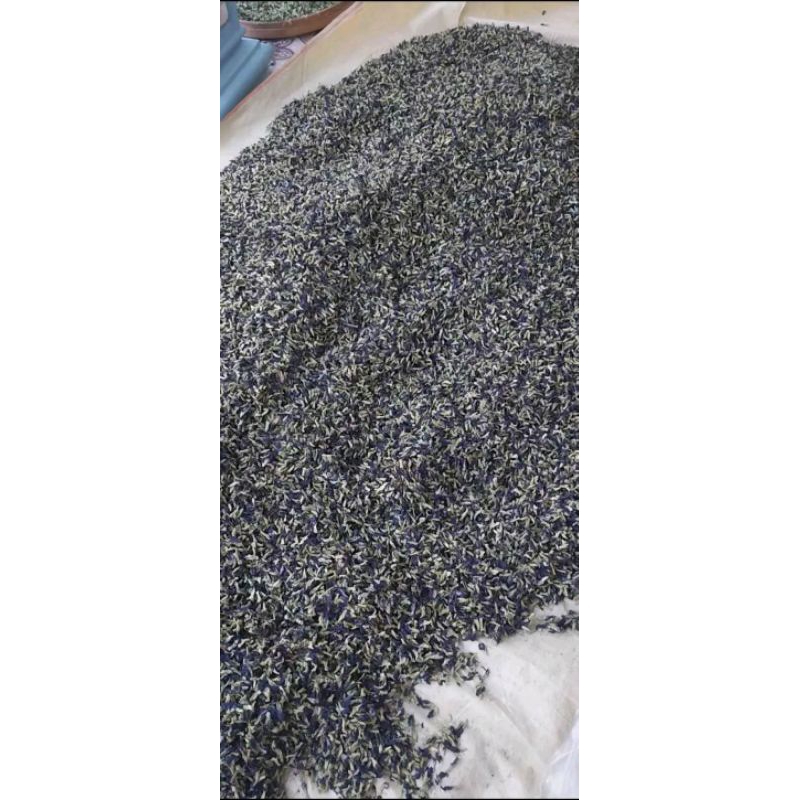 

butterfly tea/ teh bunga telang 50 gr