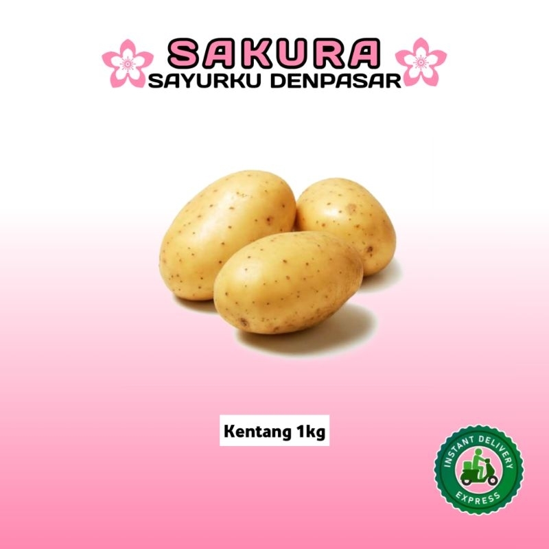 

Kentang 1kg - SAKURA