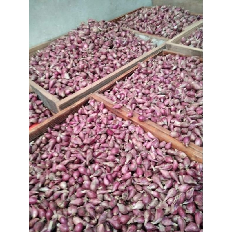

bawang merang Brebes 1/2 kg