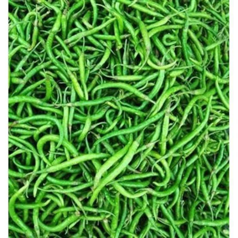 

CABE KRITING HIJAU FRESH