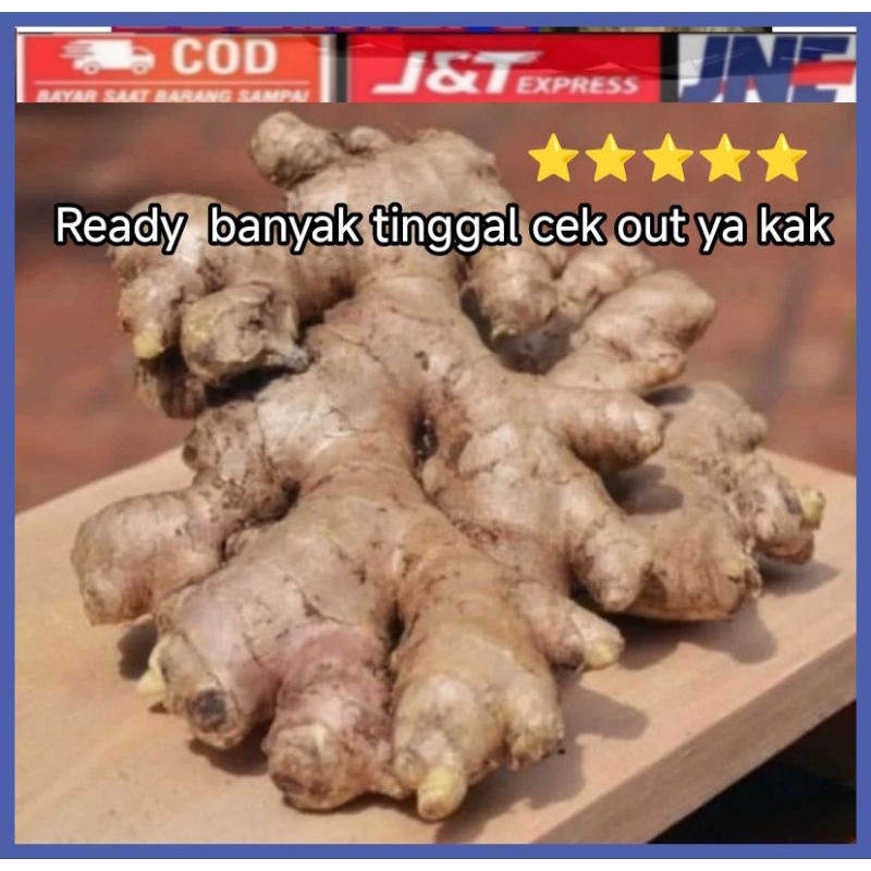 

JAHE EMPRIT SEGAR WONOGIRI