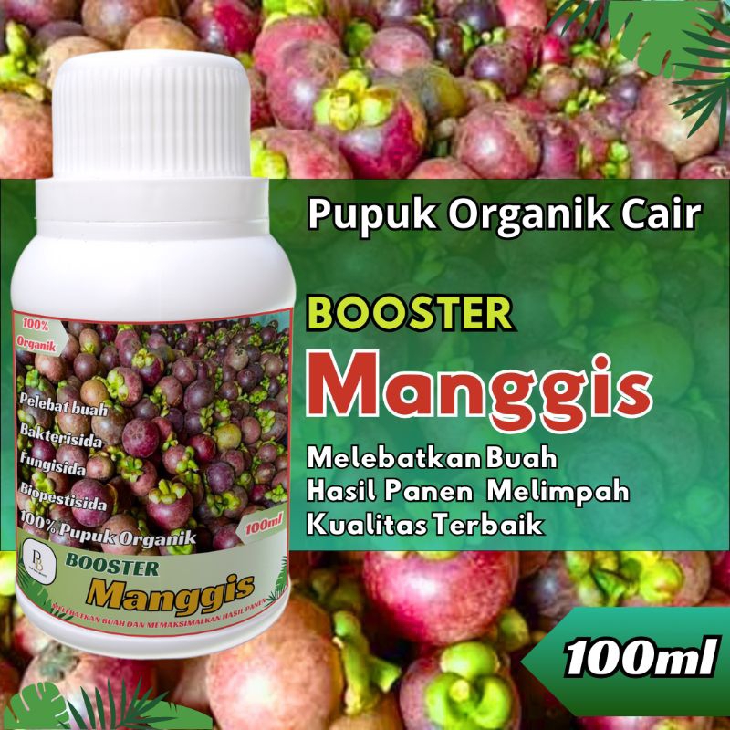 PUPUK BOOSTER MANGGIS pupuk cair organik 100ml