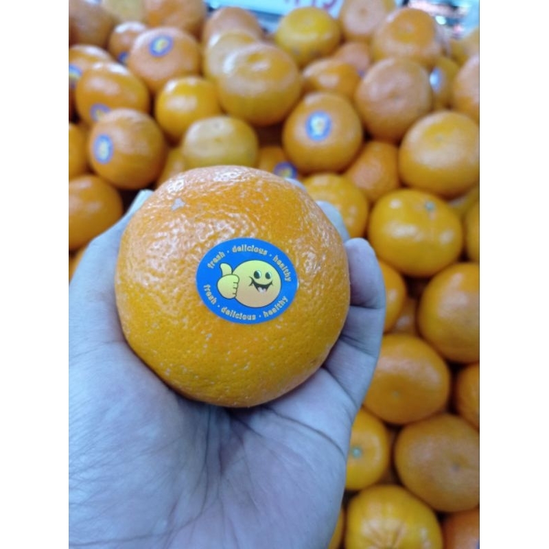 

BUAH JERUK IMPORT MURCOT SUPER FRESH 1 KG