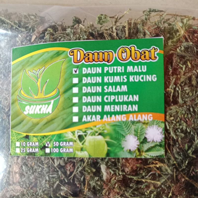 

Daun putri malu