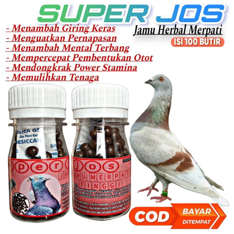 JAMU MERPATI CEPAT GIRING SUPER JOOS ISI 100 PIL extra power Sarang walet extra ginseng teki super G