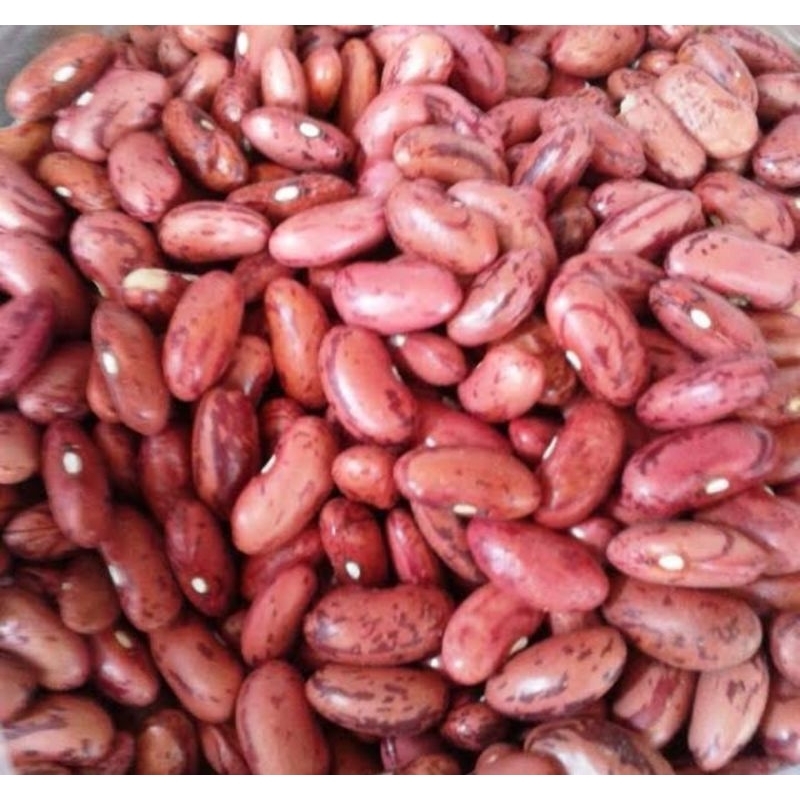 

kacang Jogo Import
