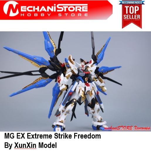 MGEX Strike Freedom by Xun Xin Model XunXin MG EX