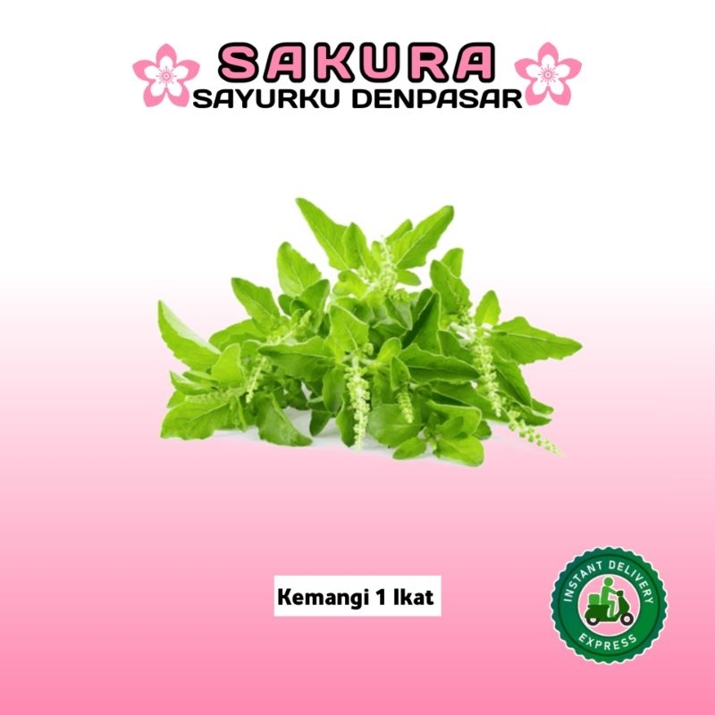 

Kemangi 1 Ikat - SAKURA