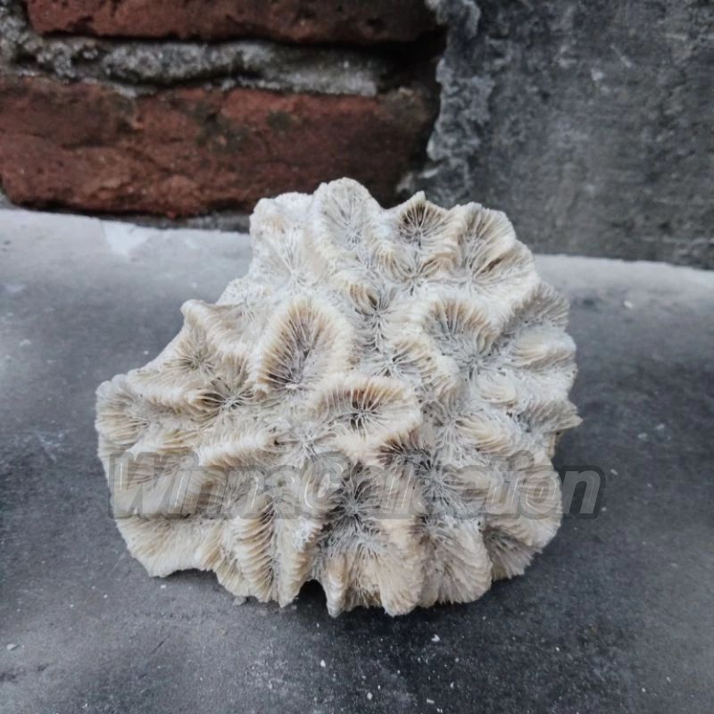 BATU KARANG AQUARIUM BESAR BENTUK ISTIMEWA, HIASAN AKUARIUM BATU MOTIF BATIK BUNGA MEKAR