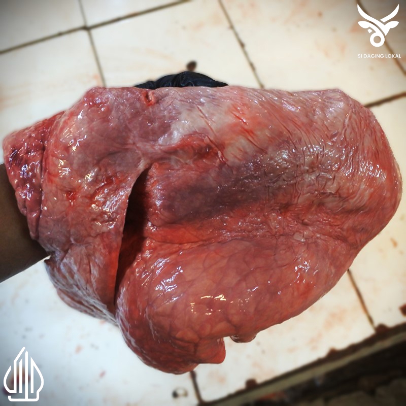 

Paru sapi impor - 1 kg