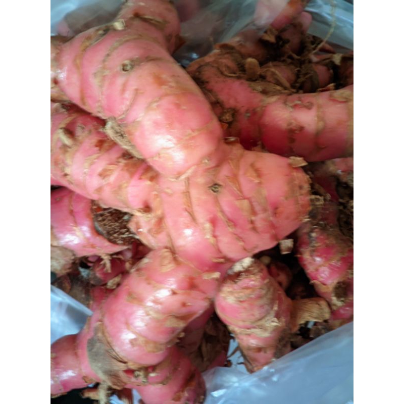 

lengkuas merah 500gram
