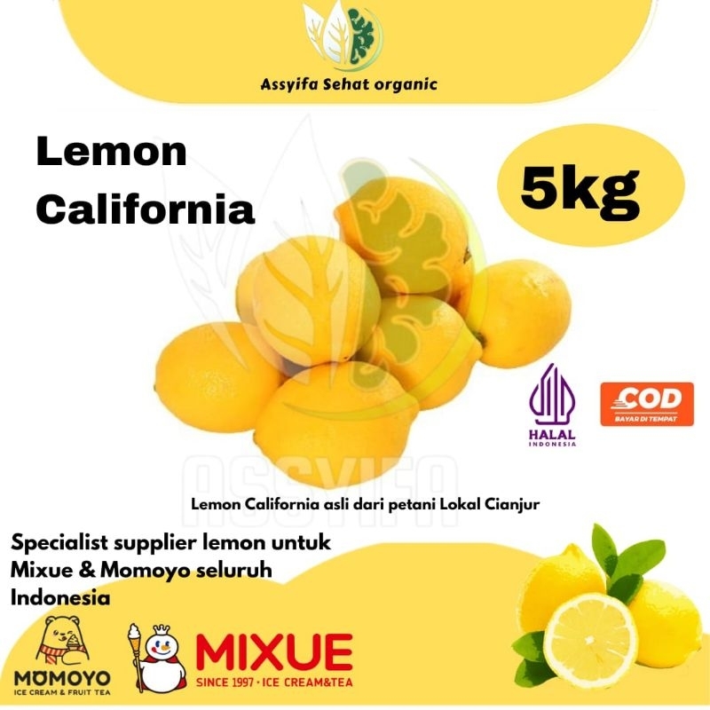 

Lemon California Fresh 5kg | Untuk Diet Detox | Kualitas Terbaik | By Assyifa Sehat Organic