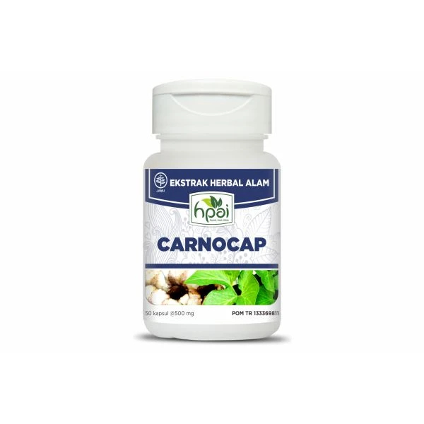 

Carnocap HPAI obat herbal untuk kanker atau tumor meningkatkan harapan hidup