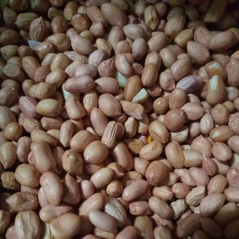 

Kacang Tanah 250 gr