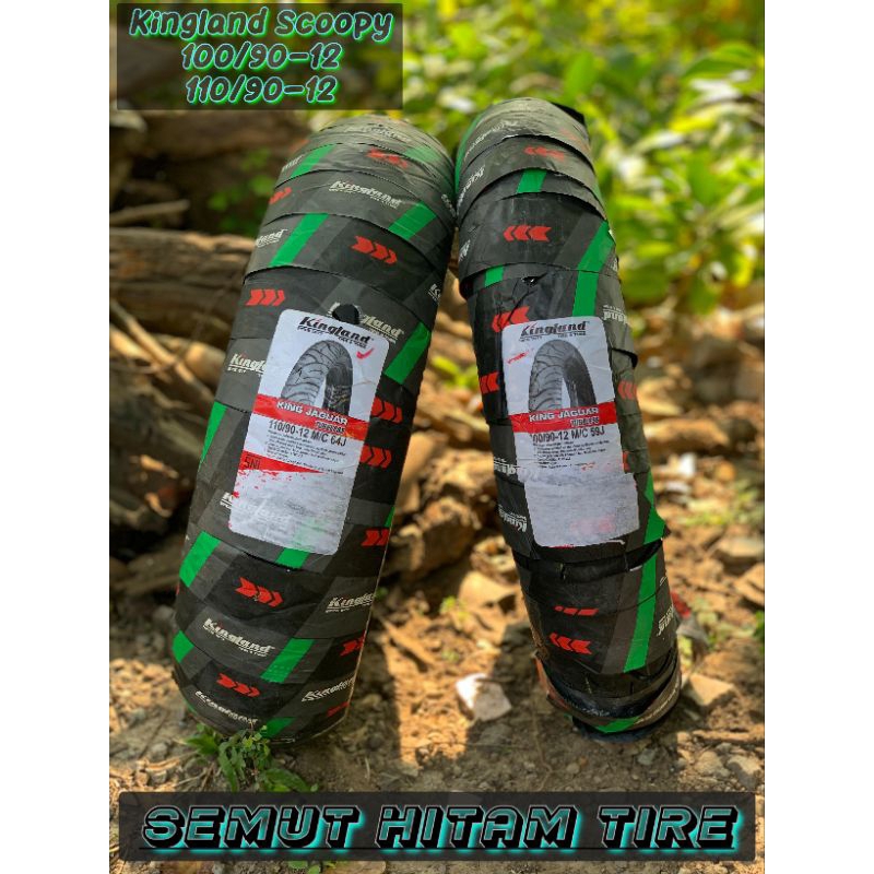 Kingland R12, Scoopy donat, Ban motor