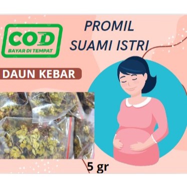 

Rumput Daun Kebar Asli Papua untuk promil program hamil