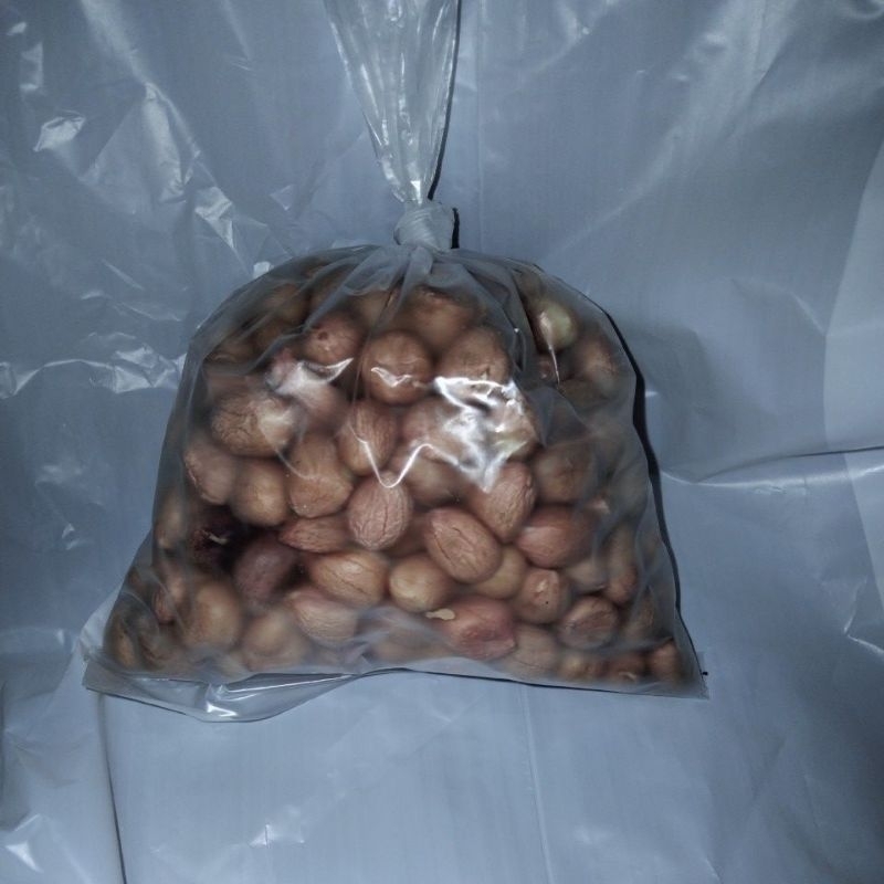 

Kacang Tanah