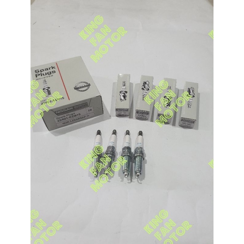 BUSI IRIDIUM LIVINA EVALA LATIO ASLI 4PC