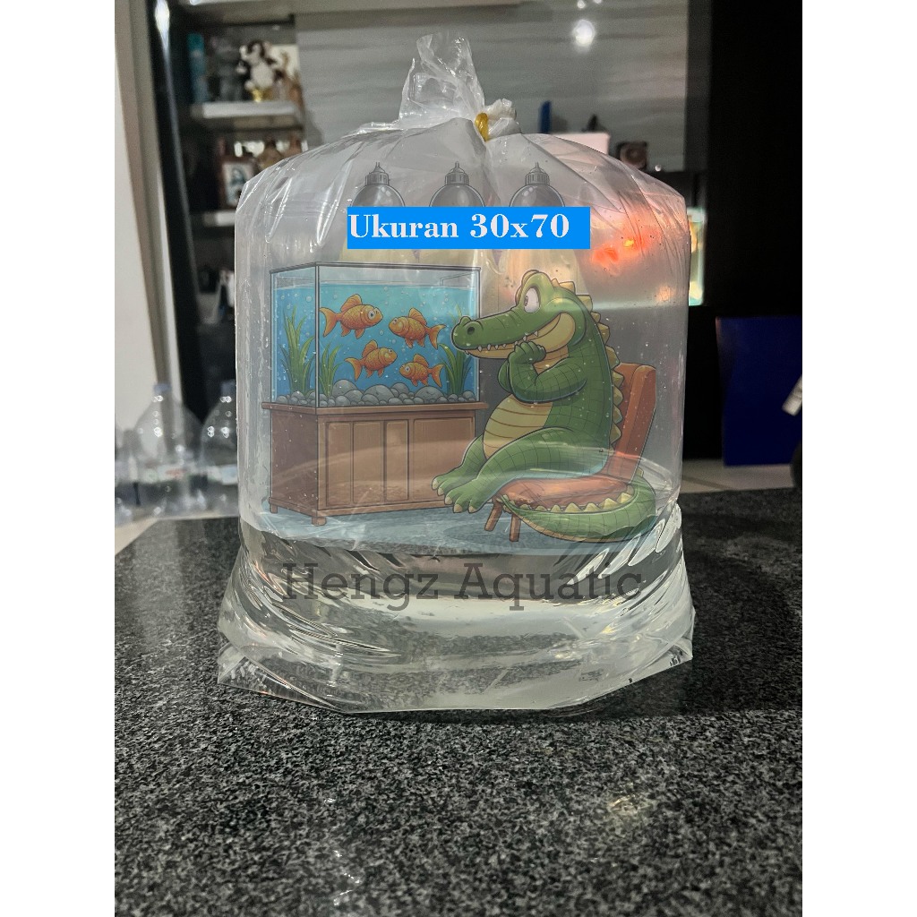 Plastik Packing Ikan 30x70 bentuk kotak elegan flat bottom tebal 80 micron discus manfish