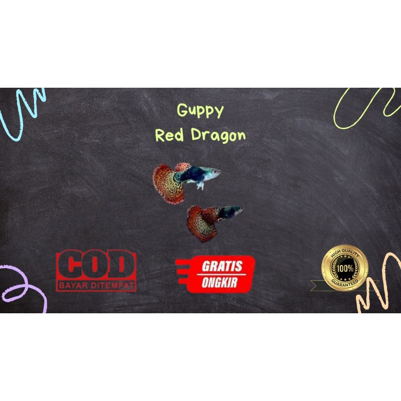 

Packing kardus / styrofoam guppy red dragon