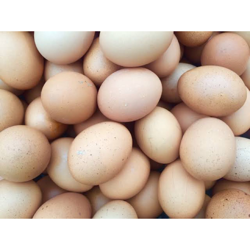 

Telur Ayam Golden Cangkang Putih 1kg