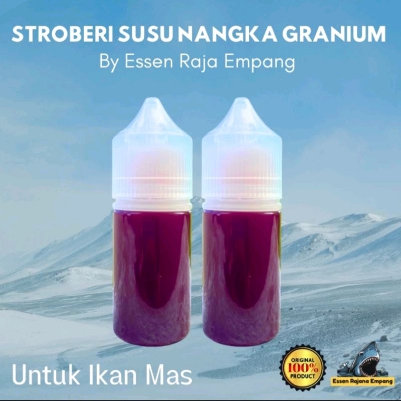 Essen ikan mas Aroma Stroberi Susu Nangka Geranium paling bagus untuk lomba galatama dan harian, ess