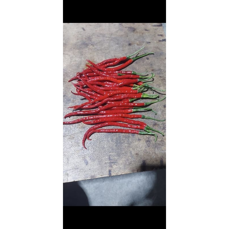 

CABE/CHILI