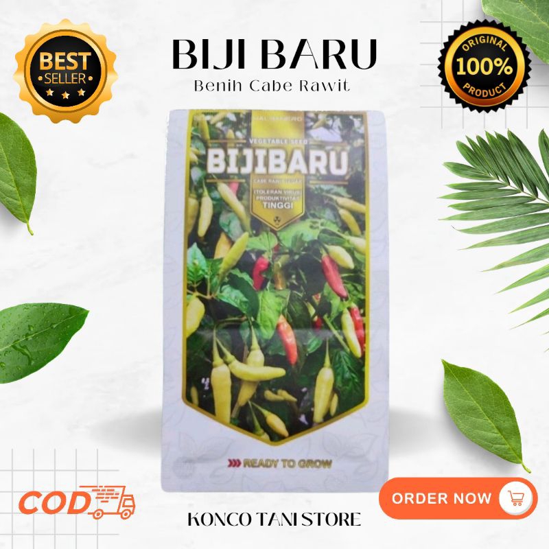 BENIH CABE RAWIT BIJIBARU HALBANERO