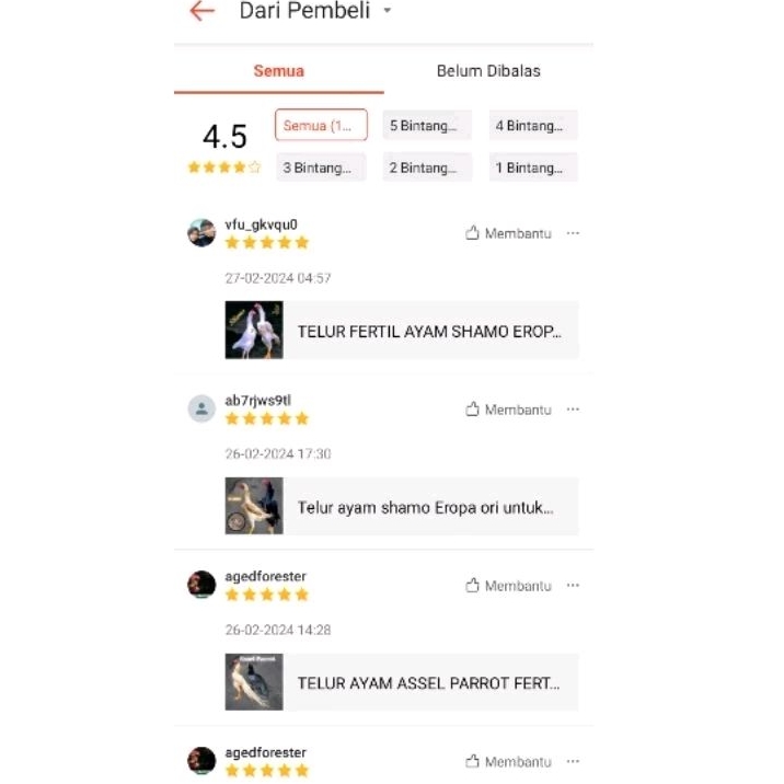 FGFG56846 telur ayam shamo jepang ori bisa untuk di tetaskan 564568