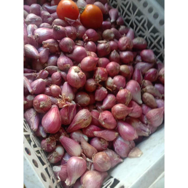 

bawang merah /harga promo paling murah