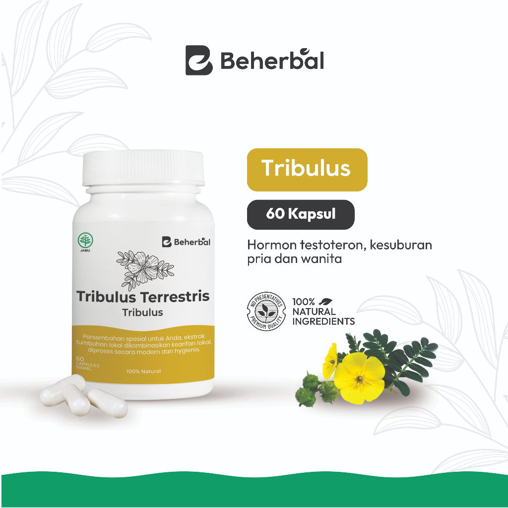 Beherbal Kapsul Tribulus Terrestris Booster Peningkat Hormon Testosteron Suplemen Otot