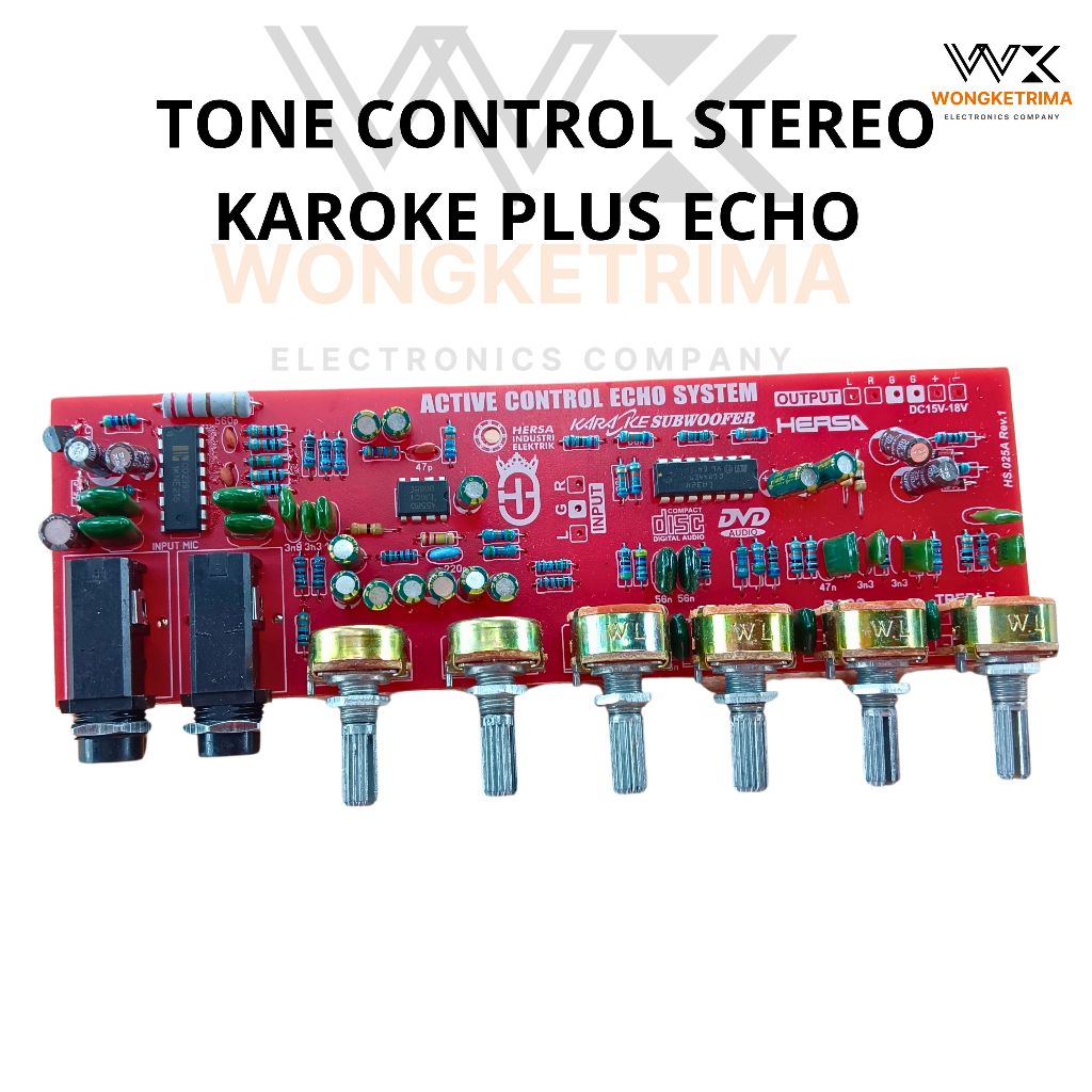 Tone control Stereo Karoke Plus Echo Subwwoofer