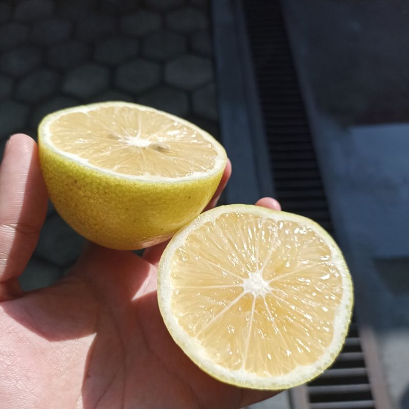 

LEMON CALIFORNIA 1KG