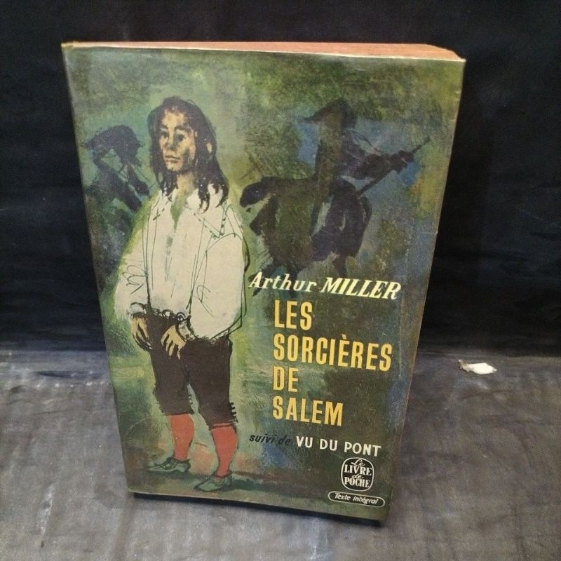 novel bahasa Perancis