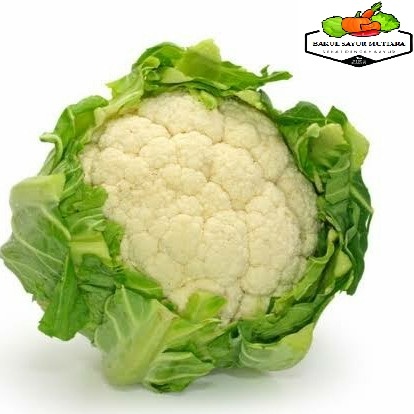 

Sayur Kembang Kol segar