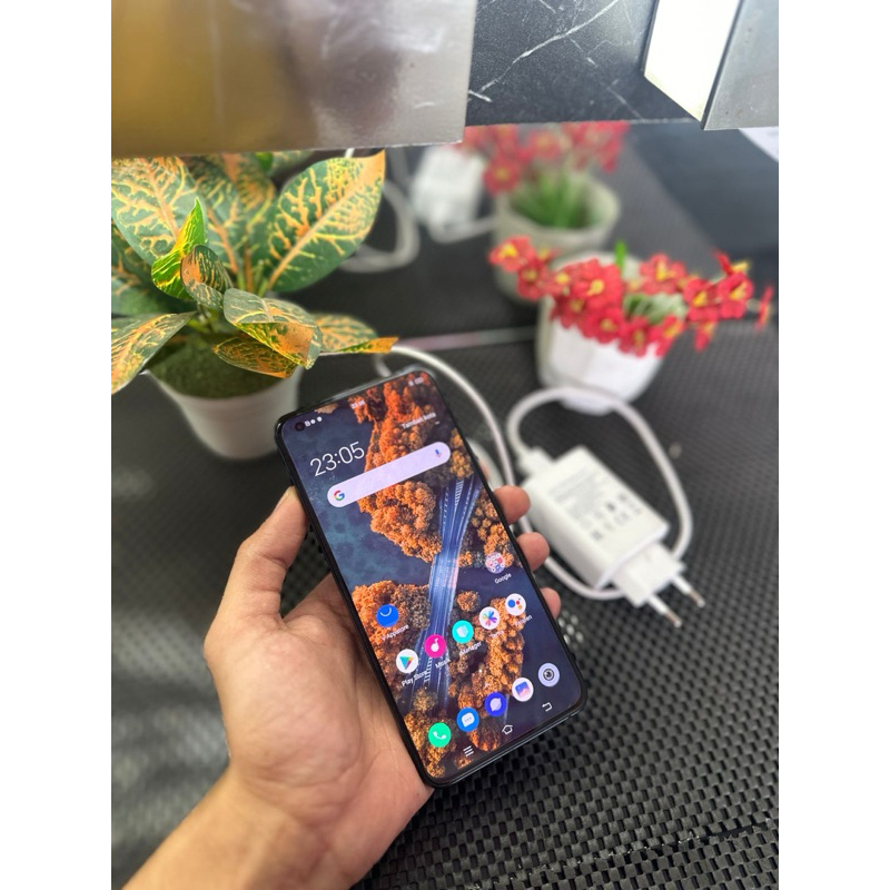 vivo x50 pro minus