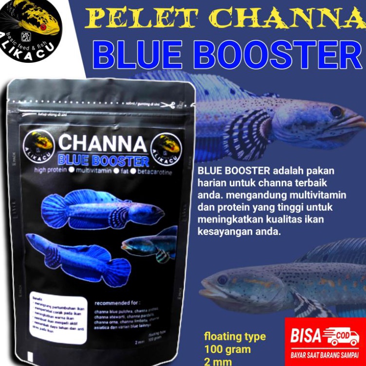 grosir pelet channa blue booster  pakan ikan channa blue pulchra blue orna blue orcha