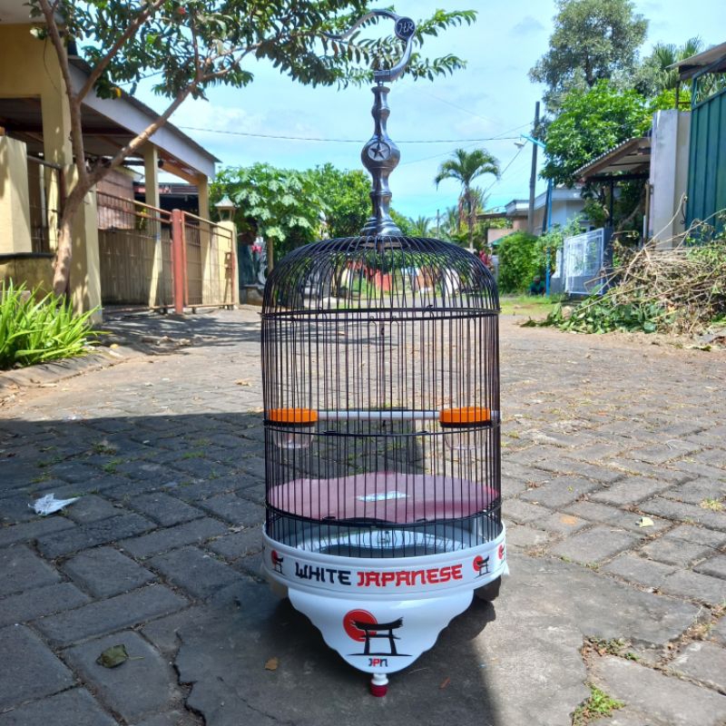 sangkar pendek lovebird/sogon