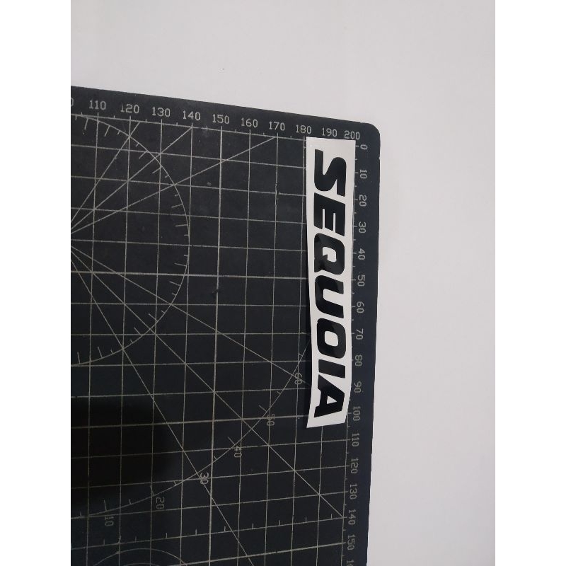 

cutting stiker sequoia