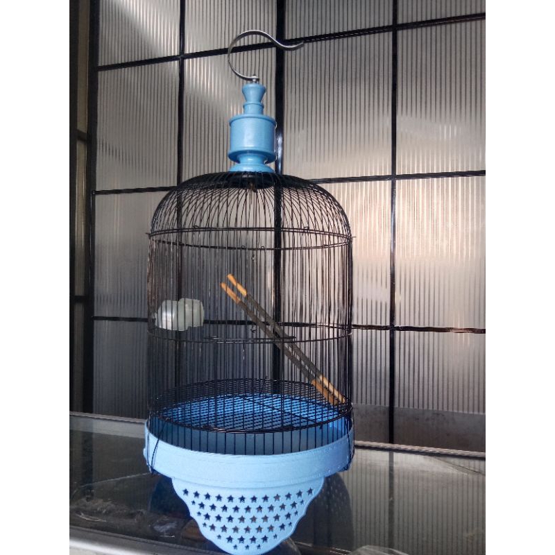 sangkar tanggung /minion