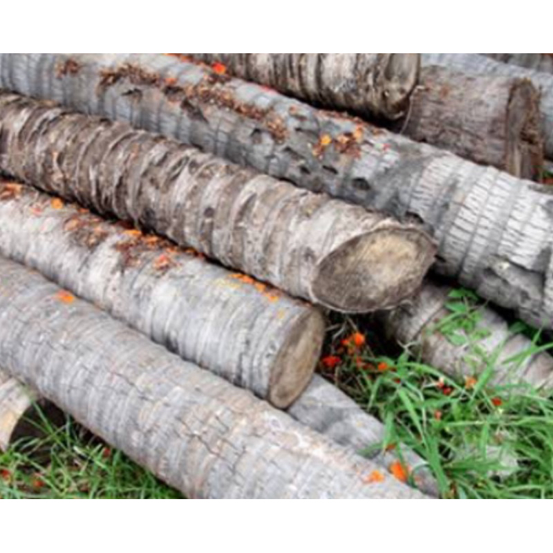 

Kulit pohon kelapa segar 1 kg fresh-az