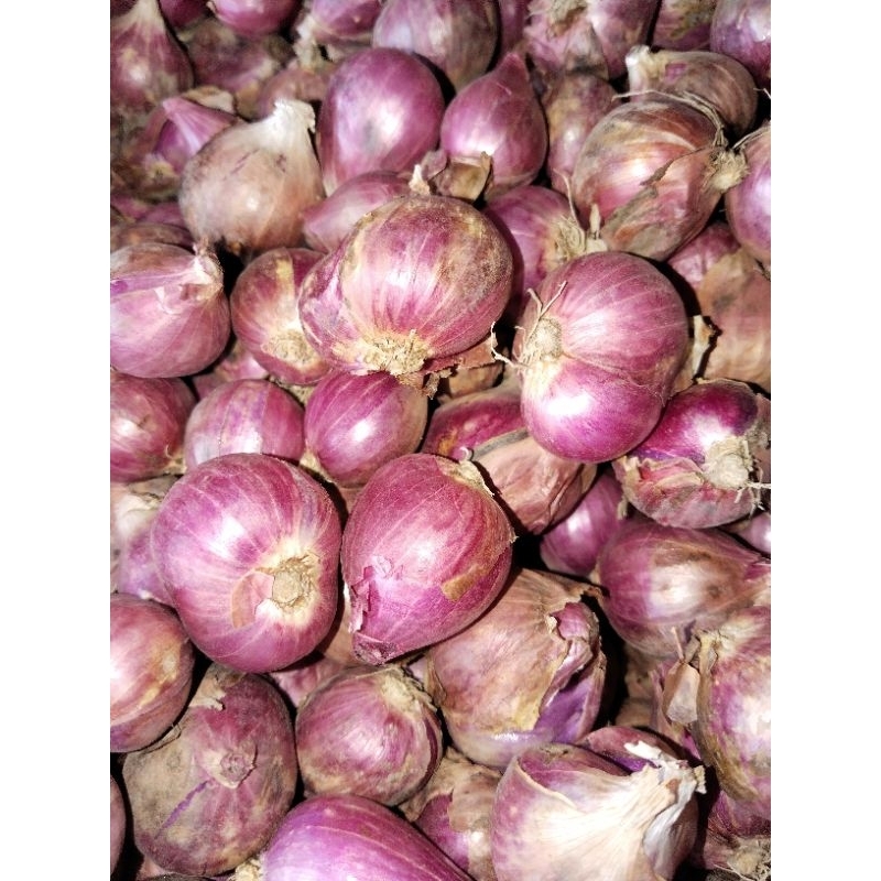 

(1 kg)bawang merah lokal besar campu, kering sedang..