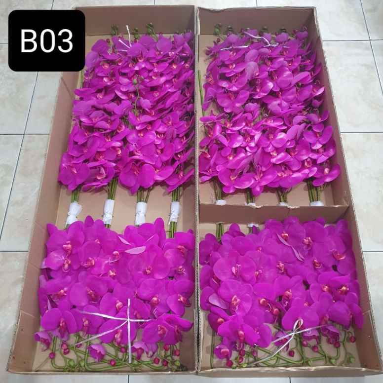 KODE X33E anggrek latex jumbo 9k bunga