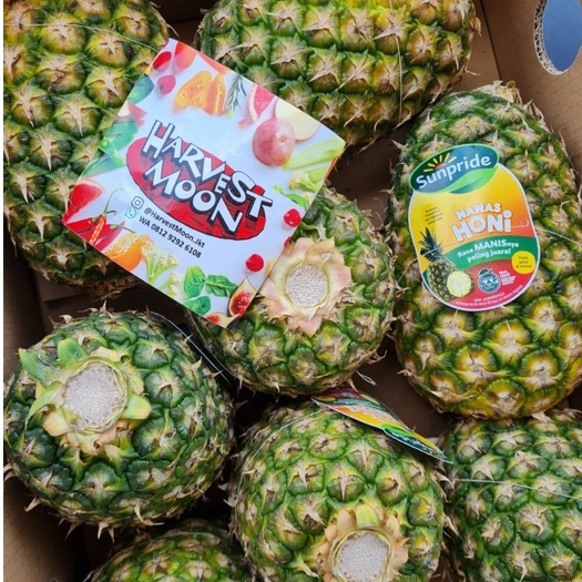 

HarvestMoon Nanas Honi Sunpride Per Dus