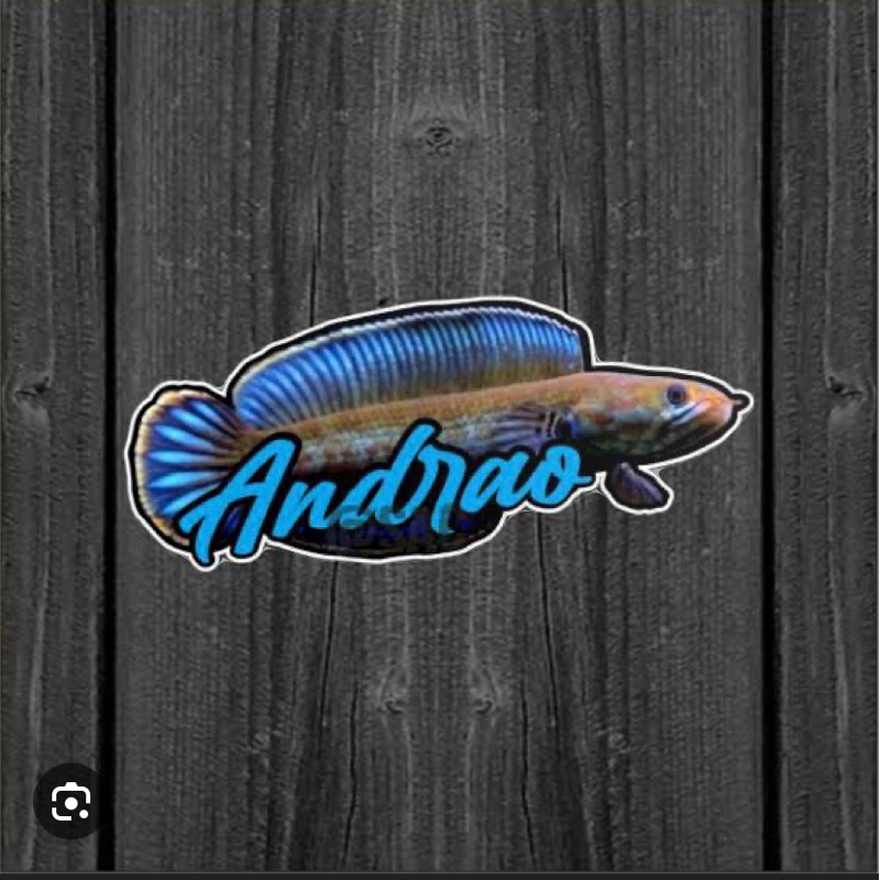 

stiker channa andrao ombyok