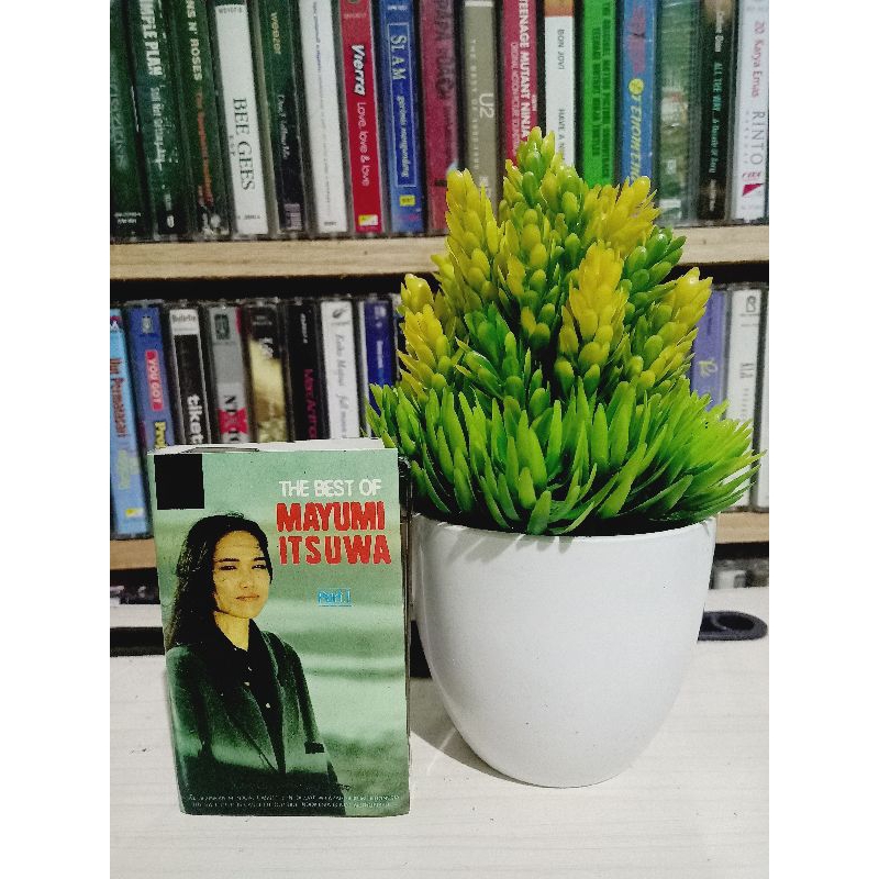 KASET MAYUMI ITSUWA KOKORONO TOMO