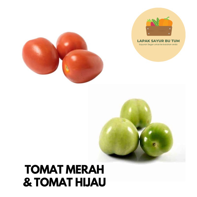 

Sayuran Segar - Tomat Merah / Tomat Hijau - Lapak Sayur Bu Tum
