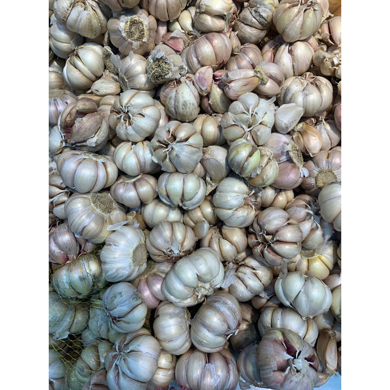 

Bawang Putih Lokal/Import